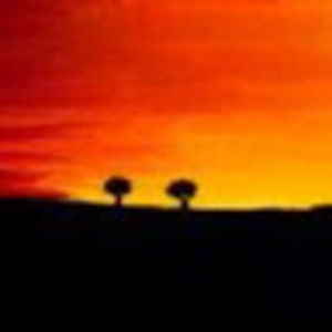 Meet your Posher, Mina